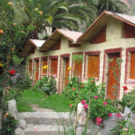 Paraiso Las Palmeras Lodge Cabanaconde Eksteriør bilde