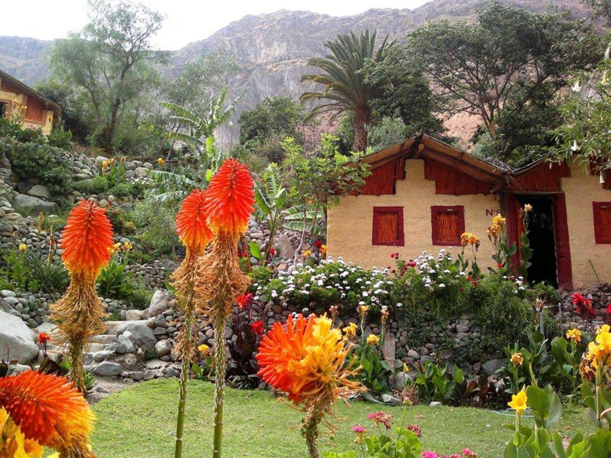 Paraiso Las Palmeras Lodge Cabanaconde Eksteriør bilde