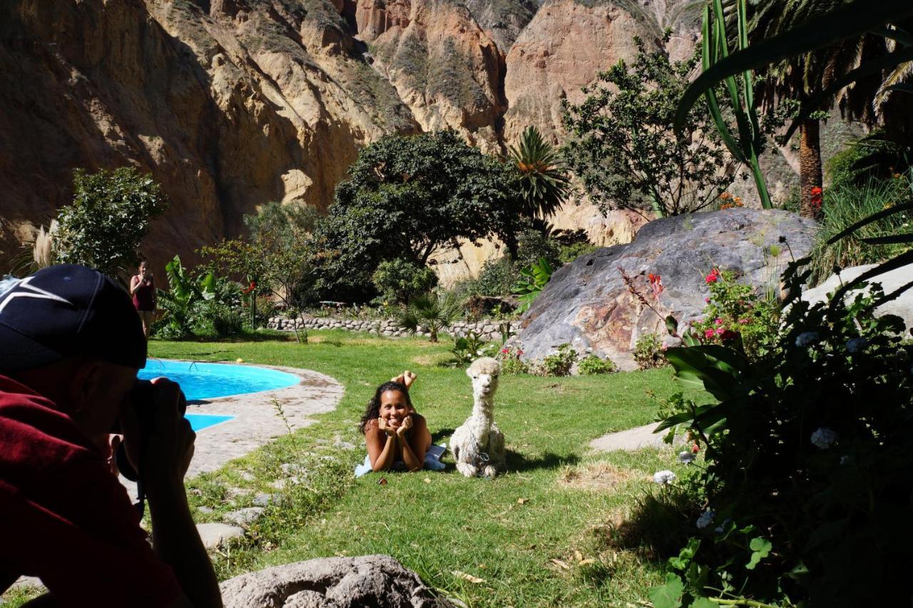Paraiso Las Palmeras Lodge Cabanaconde Eksteriør bilde