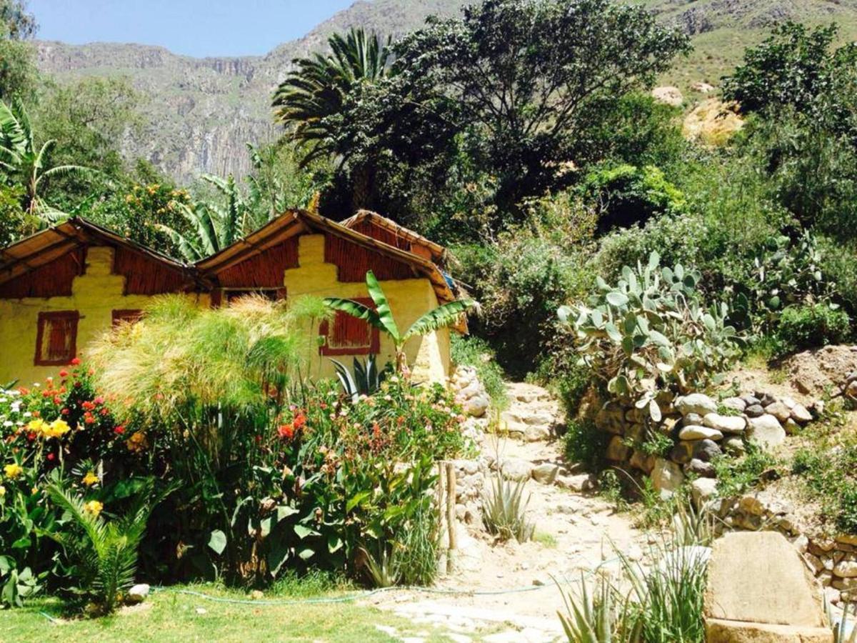 Paraiso Las Palmeras Lodge Cabanaconde Eksteriør bilde