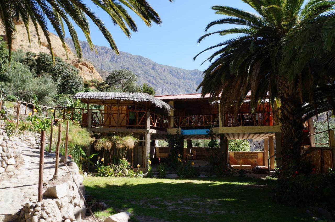 Paraiso Las Palmeras Lodge Cabanaconde Rom bilde