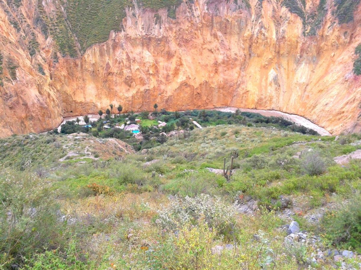 Paraiso Las Palmeras Lodge Cabanaconde Eksteriør bilde
