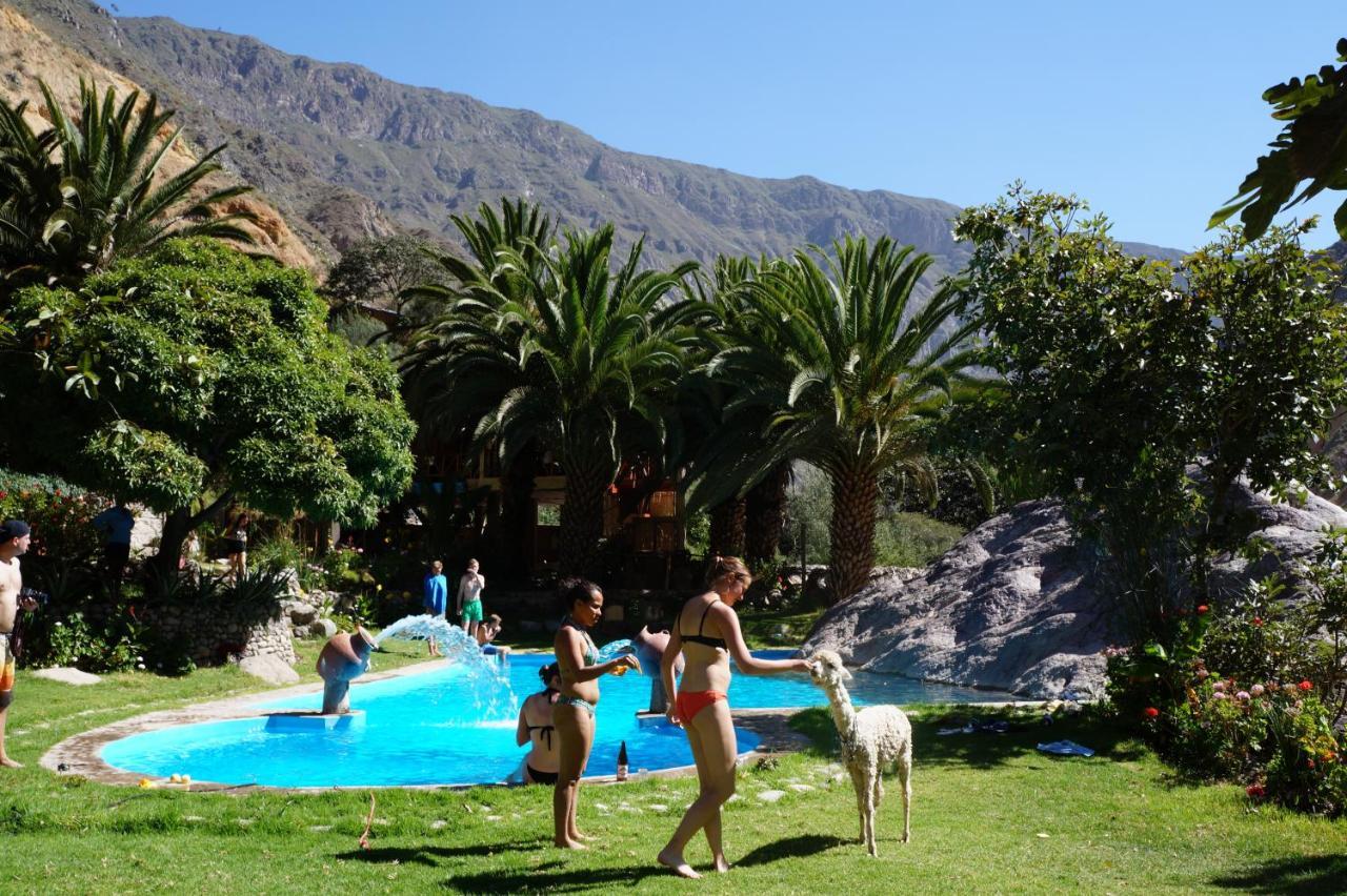 Paraiso Las Palmeras Lodge Cabanaconde Eksteriør bilde