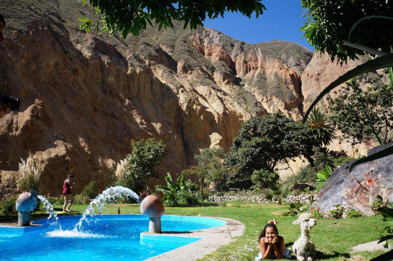 Paraiso Las Palmeras Lodge Cabanaconde Eksteriør bilde