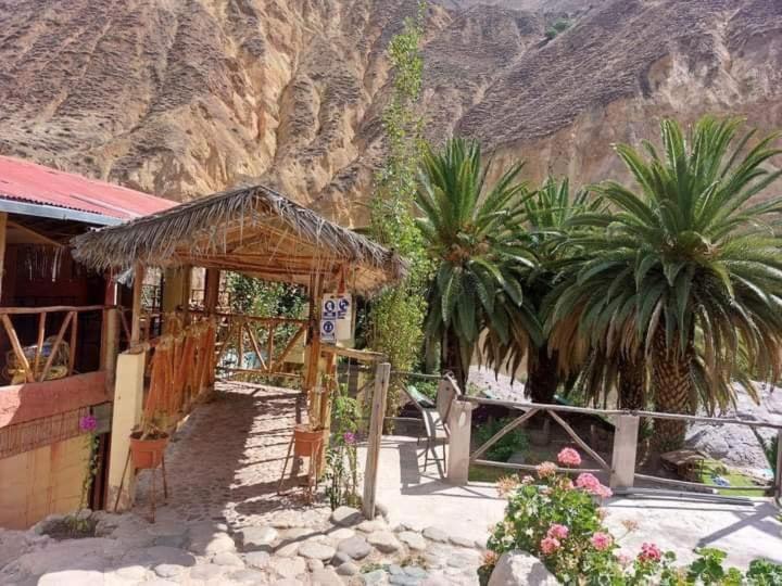Paraiso Las Palmeras Lodge Cabanaconde Eksteriør bilde